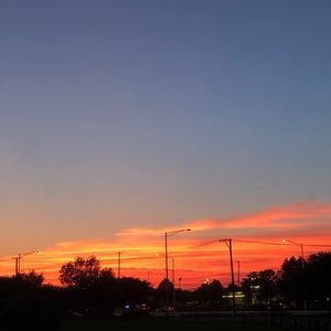 Meet your Posher, Elli